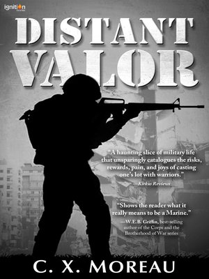 cover image of Distant Valor